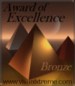 Visual Xtreme's Bronze award 
